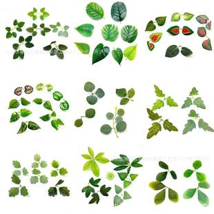 �����~�ӷ��滨ˮ������G�~���~���X�~��ë�~õ���~�����~�G�}�~