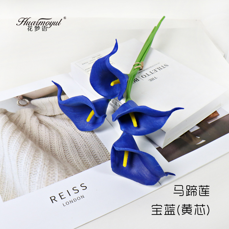 칼라 릴리-사파이어 블루(노란색 코어)