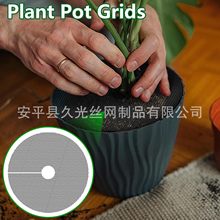 ���ϾW����W��ֲ���������o���U�չ����������������o�W����ƽ�W