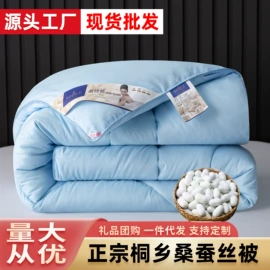 蚕丝被;纤维被;其他被芯