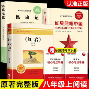 �t�ҕ����x��t����ҫ�Ї����xӛ�������꼉�σ��������n����x