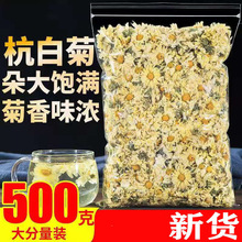 菊花菊花茶杭白菊桐乡新货菊花茶花草茶50g-500g批发零食怀旧批发