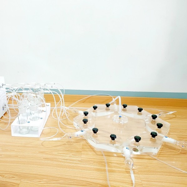 昆虫四臂嗅觉仪/ 六臂昆虫嗅觉仪 型号:XL-M4-150/300、XL-M6-300