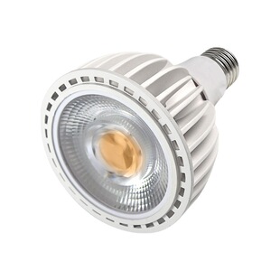 Factory wholesale supply new 24 degree led cob par30 bulb 35W commercial led high power parlamp