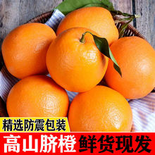 现摘脐橙 甜橙子 新鲜应季水果 橙子整箱批发 薄皮 脐橙 水果直销