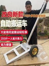 �辰�������԰��\�ք�Сƽ����������܇��݆��ʯ����\܇