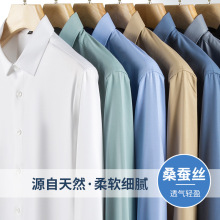 中高档春秋桑蚕丝青年男士长袖衬衫商务休闲莫代尔纯色衬衣工装