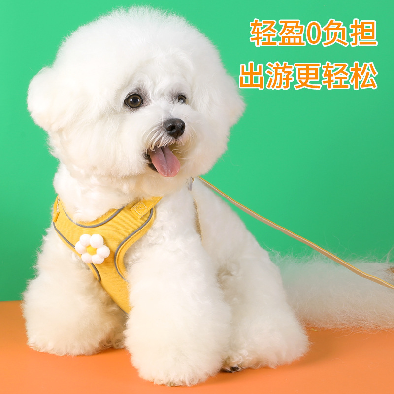 Cuerda de tracción para perros, cuerda para perros pequeños, correa para el pecho, bichón, peluche, linda celebridad de Internet, correa para pasear al perro