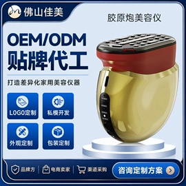 电子美容仪;注氧仪;美容导入仪