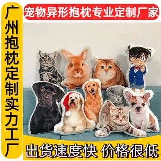 外贸抱枕来图定制异形抱枕人偶宠物抱枕外贸DIY猫狗抱枕免代发货