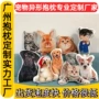 定制异形猫狗外贸抱枕