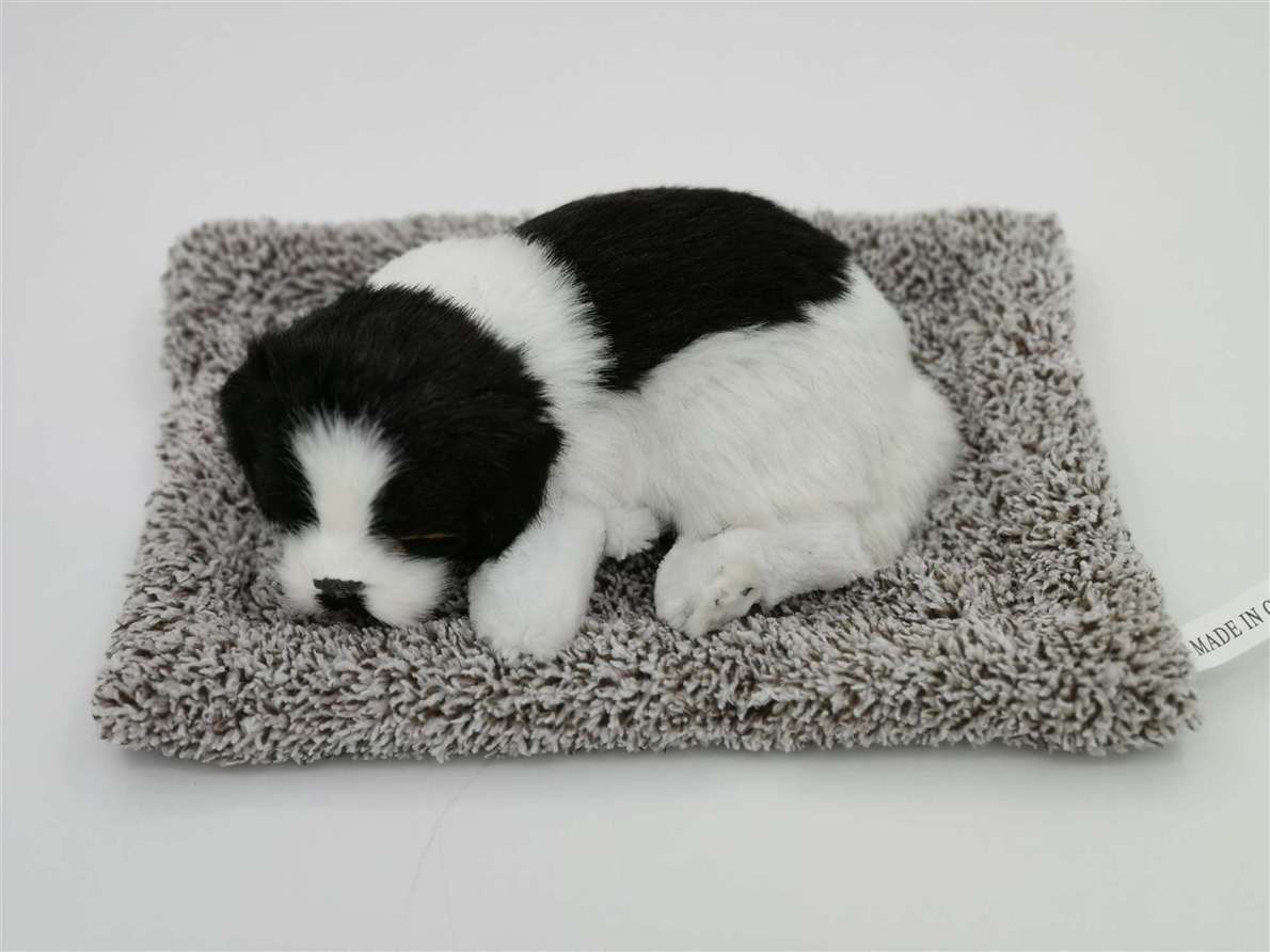 Gran pastoreo lateral para alimentar a la gallina de pelo gris