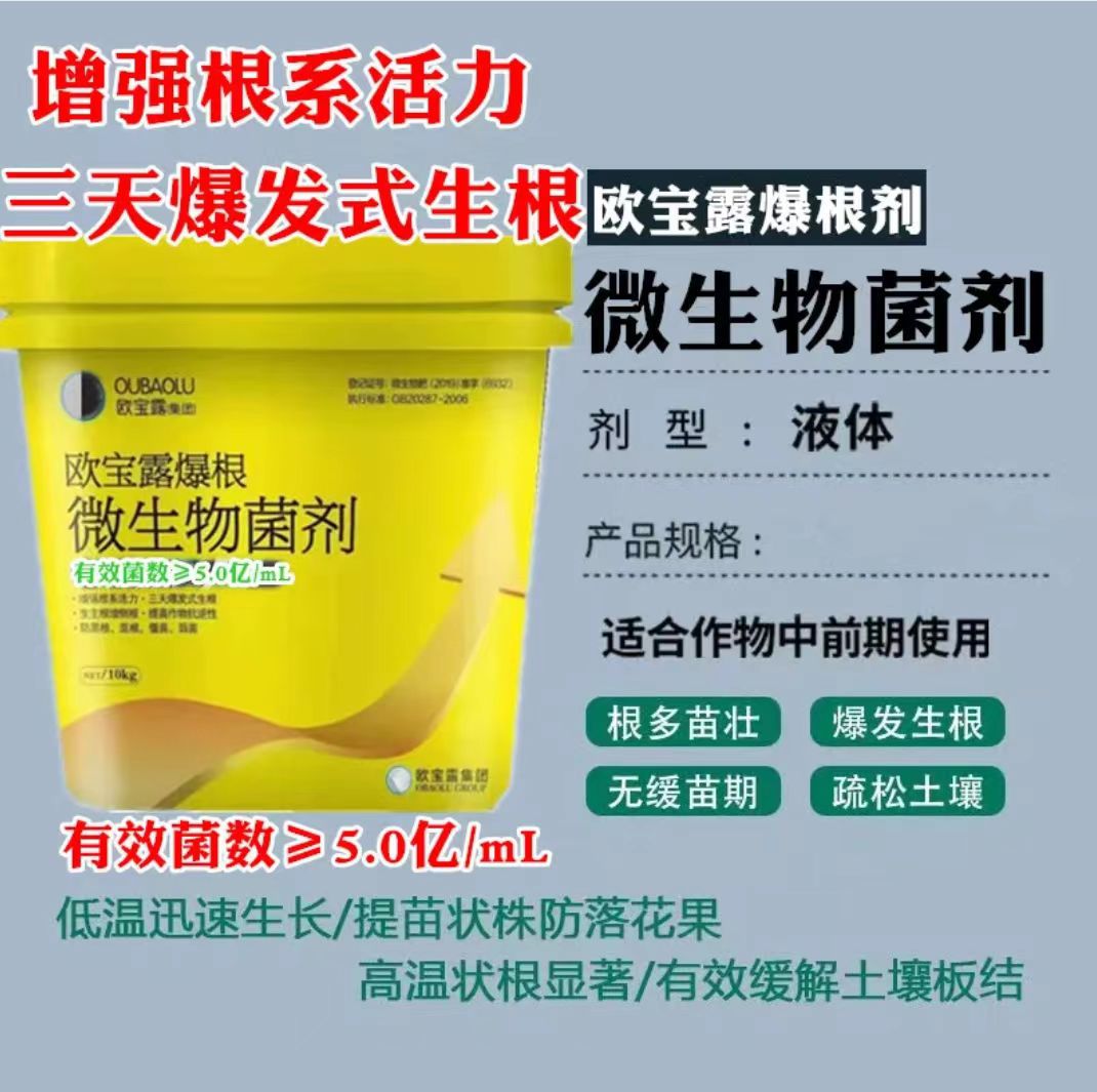 微信图片_20231228205141