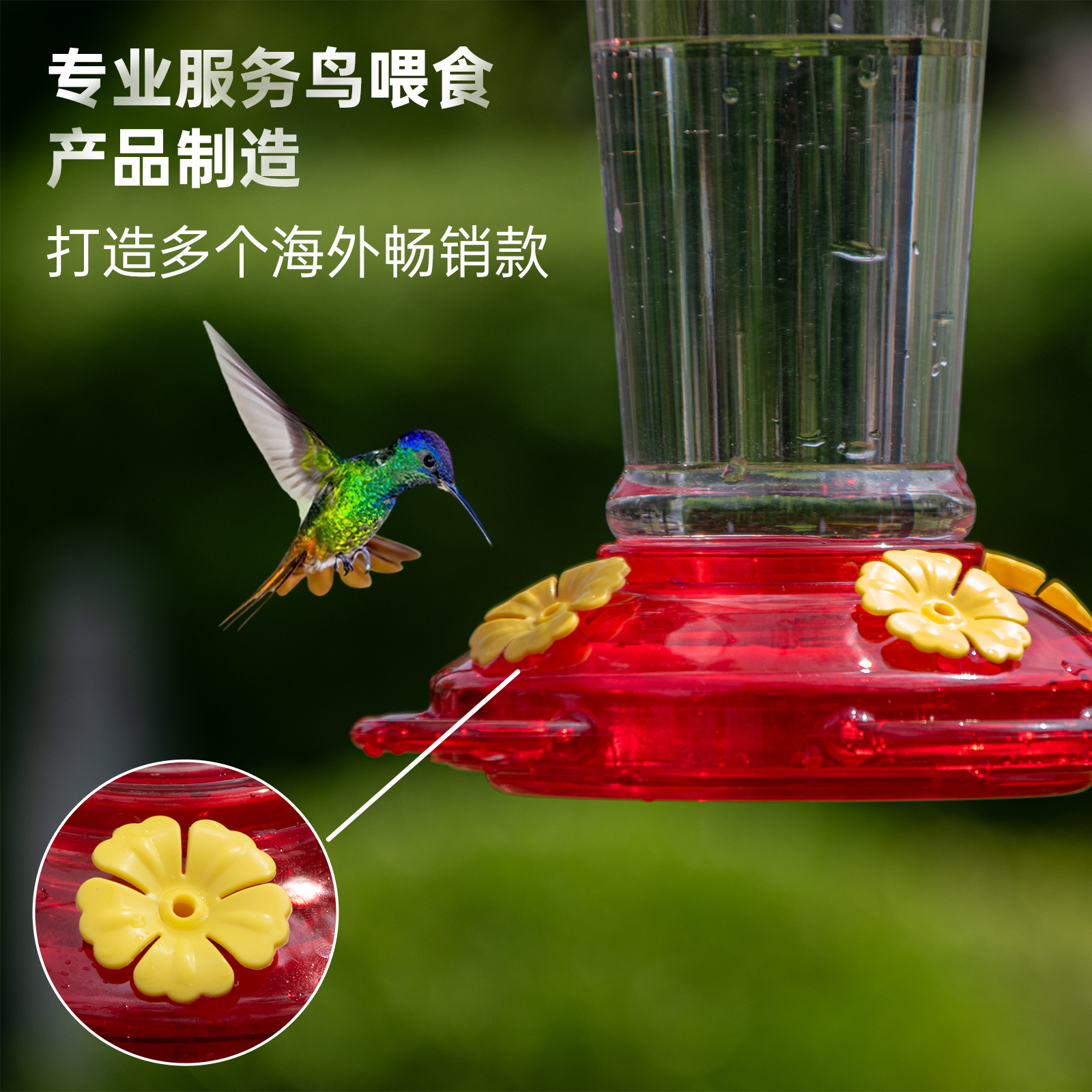 Los alimentadores de agua de Colibrí cuelgan en el patio exterior de los alimentadores de agua de aves a través de la frontera para la decoración de Observación de aves de amazon.