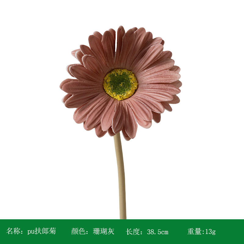 산호 회색