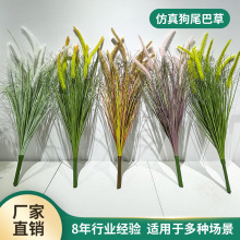 ins风仿真绿植五头九头狗尾巴草芦苇把束商场造景植物景观装饰