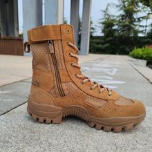 ʽɫļW͸Ӗѥpĥߎ朴ɳĮӖ