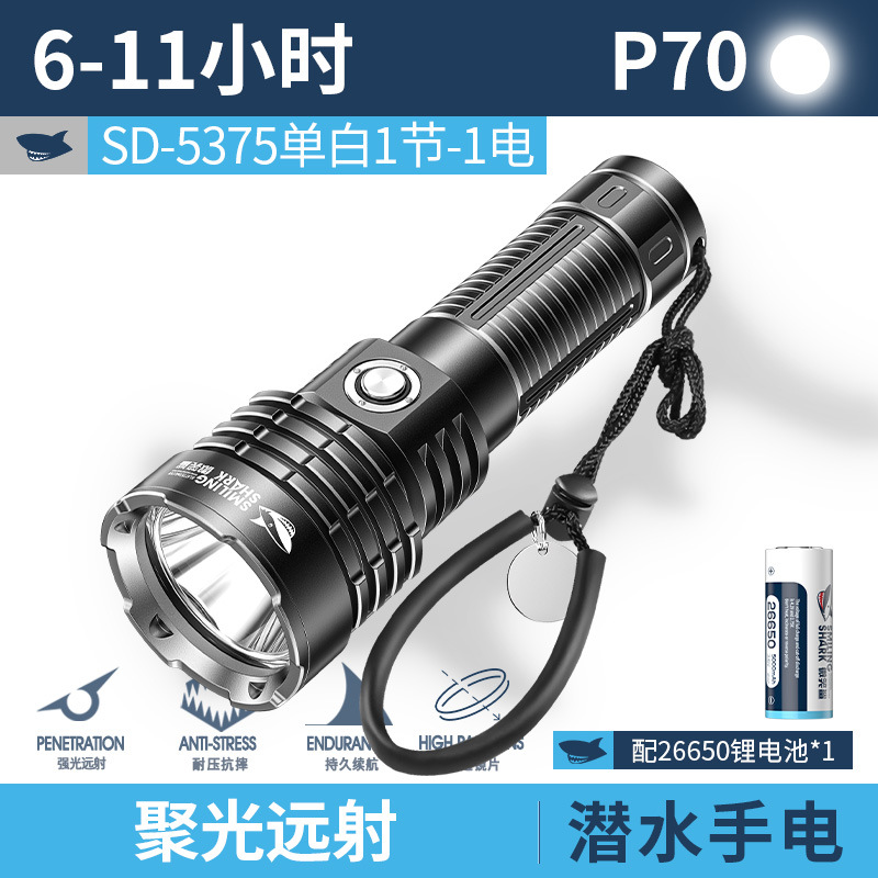 백색광 잠재적 손전등 [5000mAh 배터리]