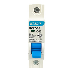 Small Circuit Breaker DZ47-63/1P Electric Circuit Breaker 6~63A Mini Circuit Breaker Wholesale