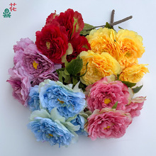 五头把束帝王牡丹 单枝帝王牡丹 跨境外贸批发绢花 室内装饰假花