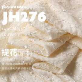 设计款丝光刺绣提花服装包袋夹克裤子帽子面料JH276