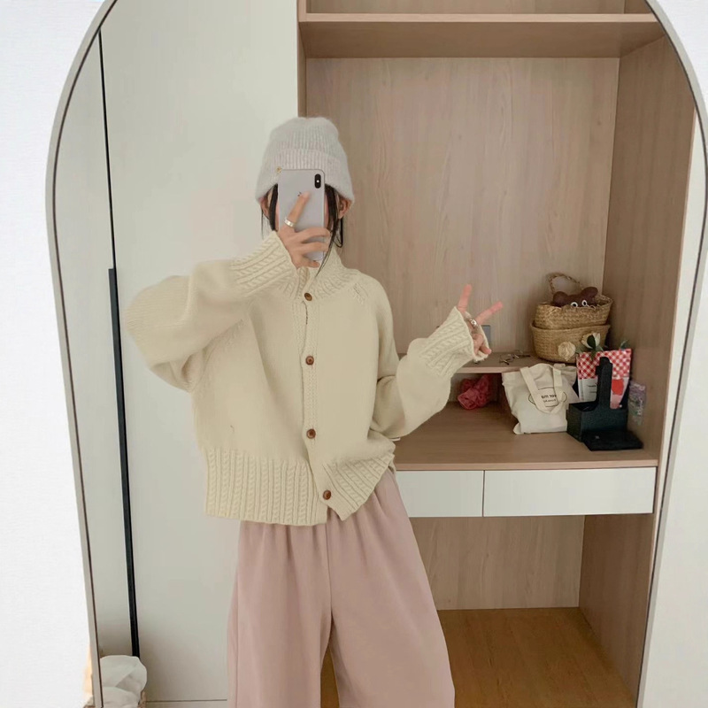 翻领毛衣设计感麻花针织外套女秋冬软糯纯色宽松休闲百搭开衫上衣|undefined