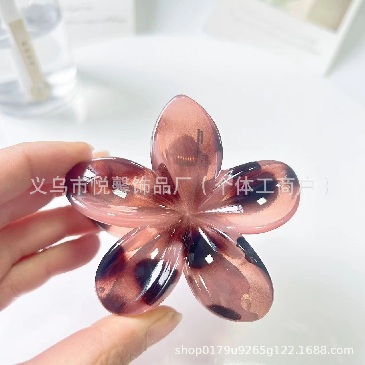 젤리 알몸 분말 거북이 껍질