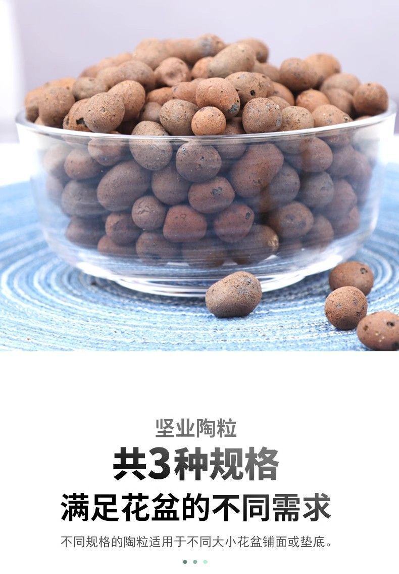 2bfee31b-23a1-45e6-8670-74ad98ac0678.jpe