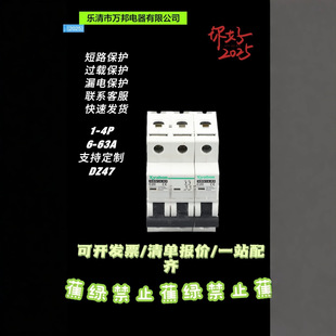 Yueqing Wanbang Electric Appliance Co., Ltd. Miniature Circuit Breaker 1-4P 6-63A