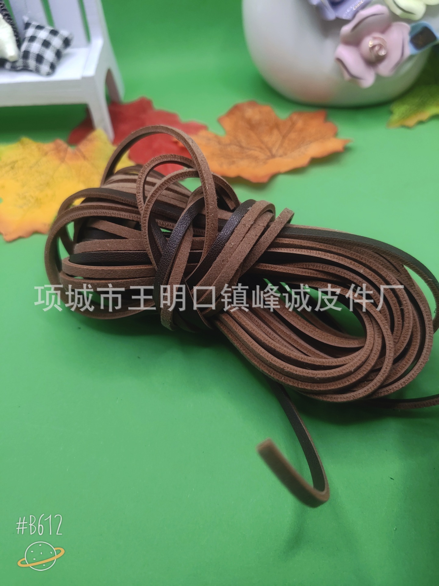 B612Kaji_20240119_203758_742