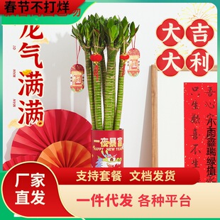 һ�����l�����F��ˮ�B�������^ˮ��ֲ���҃ȿ͏d���B�����