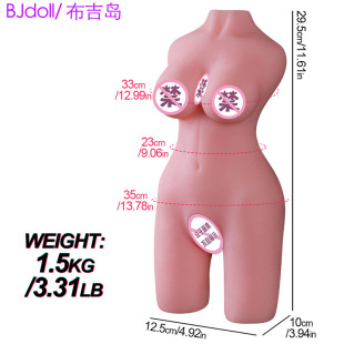 �����u������ģ�����L���팍�w����������ο���w�C��������Ȥ��Ʒ