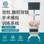 妇科临床手术模拟器材