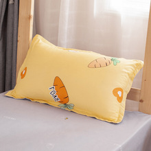 枕套48x74cm一只装枕头套成人男女枕芯套加厚枕罩枕头套宿舍