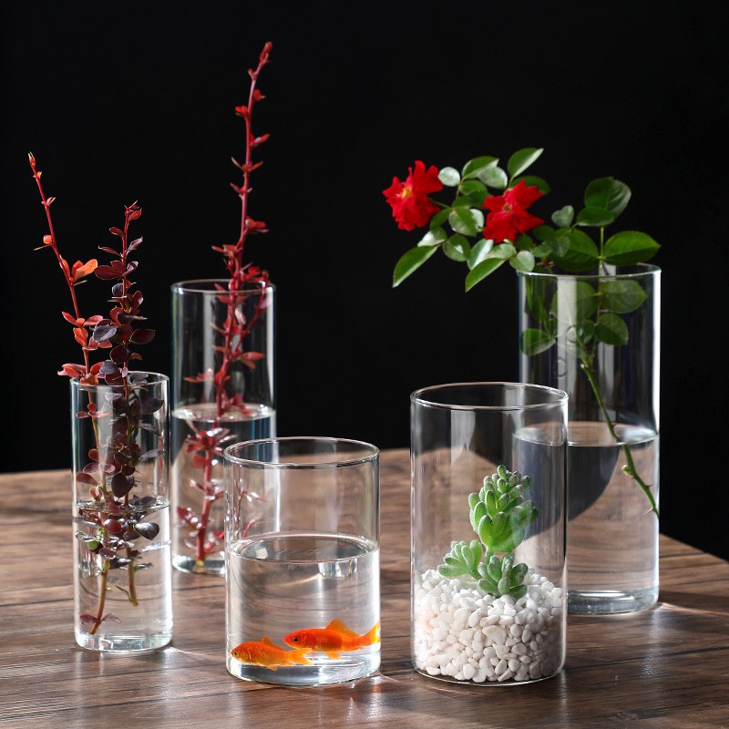High Borosilicate Glass Moss Ecological Bottle Hydroponic Plant Bottle Indoor Desktop Small Flower Pot Straight Art Flower Arrangement Vase