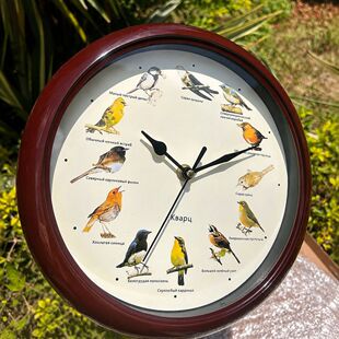 [���Z��]�����B�В��R�羳Ozon���u10Ӣ��25CM�A��Ӣ���B�Q���R