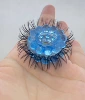 Double -curved hair 2.0cm double -row blue (remarkable other internal diameter)