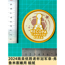 2024南美优胜者杯冠军章-弗鲁米塞嫩用 植绒球衣号字母号码热转印