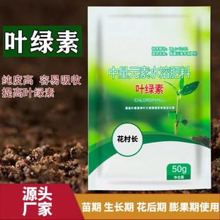 Medium Element Water-Soluble Fertilizer, Chlorophyll Amino Acid Foliar Fertilizer, Flower and Green Plant Spray Green Family Gardening Farm Fertilizer