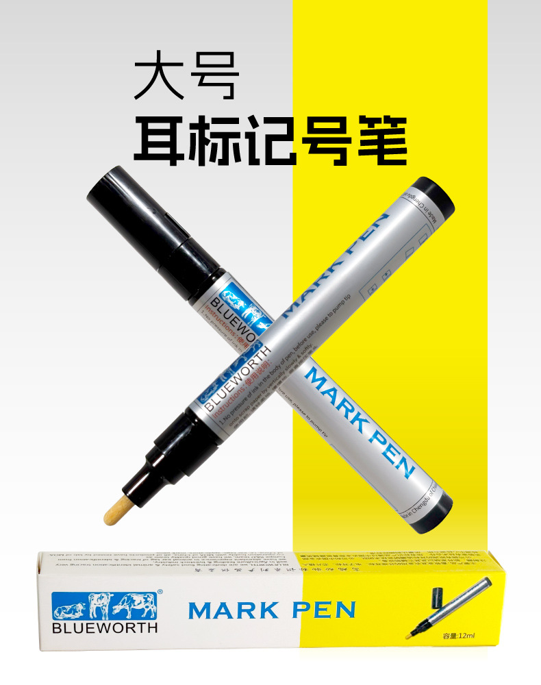 大笔详情_A.jpg