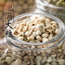 ���ڽ�����؛޲�����F��޲�����r��޲������s�Z�ּZ�Z��