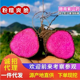 橙;番薯类;块茎类