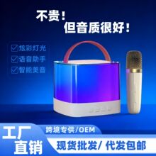 便携炫彩K歌蓝牙音箱迷你户外露营卡拉OK儿童无线K歌音响麦克风