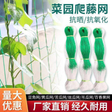 ���پW�r��ֲ��ɽș�S���㶹��϶��ǽz�ϵ��ϰ���������W�Nֲ�W