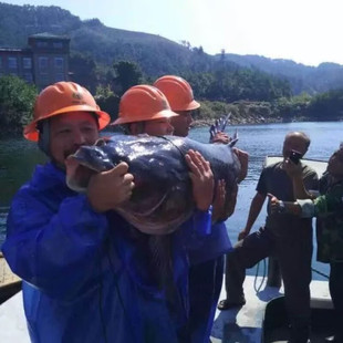 �g�؞�ǧ�u����·���~ ǧ�u�����~��ˮ�����~ 10-40�ﴺ����؛�^