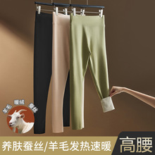 德绒蚕丝保暖裤女高腰羊毛加绒加厚无痕棉毛裤秋冬季内穿女士秋裤