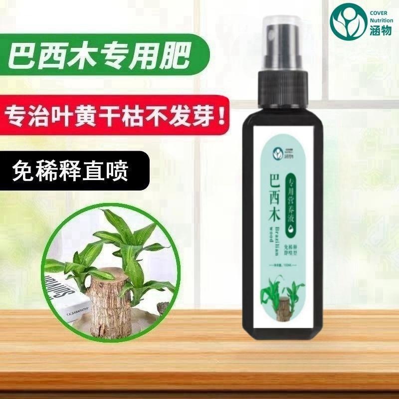 【强烈推荐】巴西木免稀释营养液发芽生根促生长防治黄叶干枯