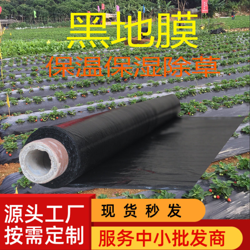 农用地膜黑膜蔬菜种植育苗除草防草加厚保温保湿多功能pe塑料薄膜
