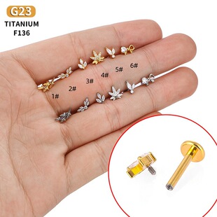 G23/F136⁺Ͻ�������ᔶ�ᔺ����Y���~���h�����ܛ�Ǵ����Ʒ