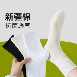 运动休闲棉袜;船袜、隐形袜;堆堆袜
